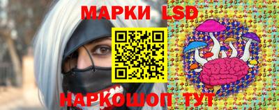 прущие грибы Краснодар