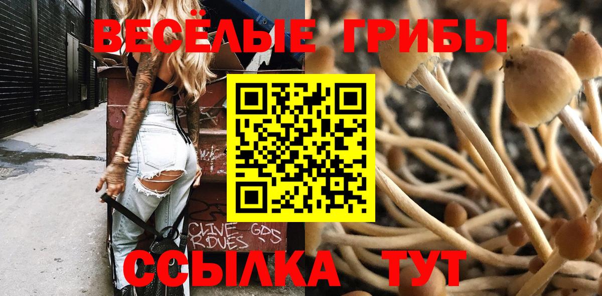 Псилоцибиновые грибы MAGIC MUSHROOMS  Вход с VPN  Ирбит  Галлюциногенные грибы прущие грибы 