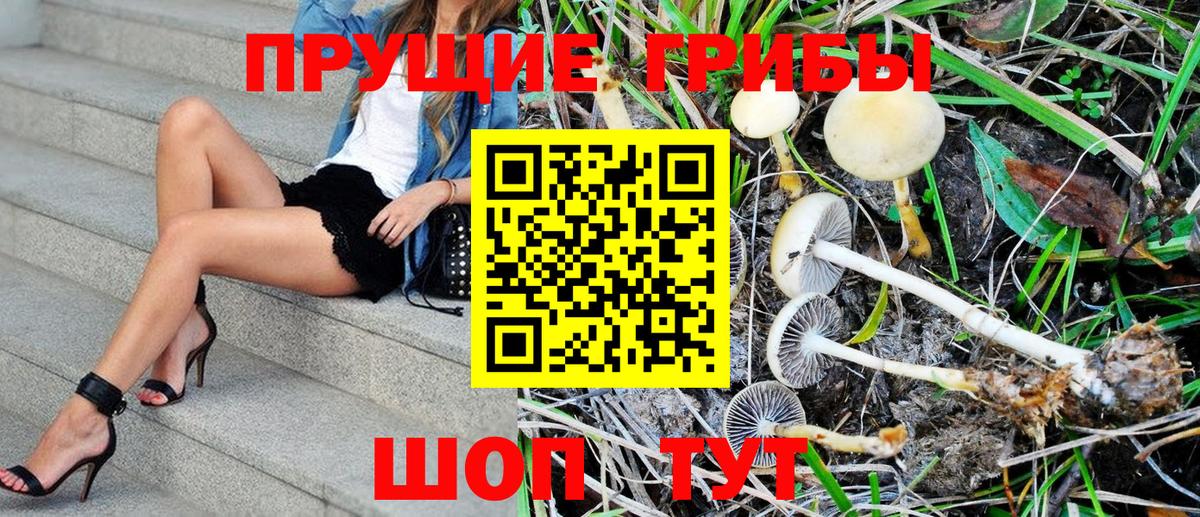 Псилоцибиновые грибы MAGIC MUSHROOMS Ирбит